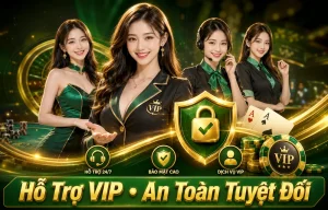 Thể thao trên glancelogistics.com